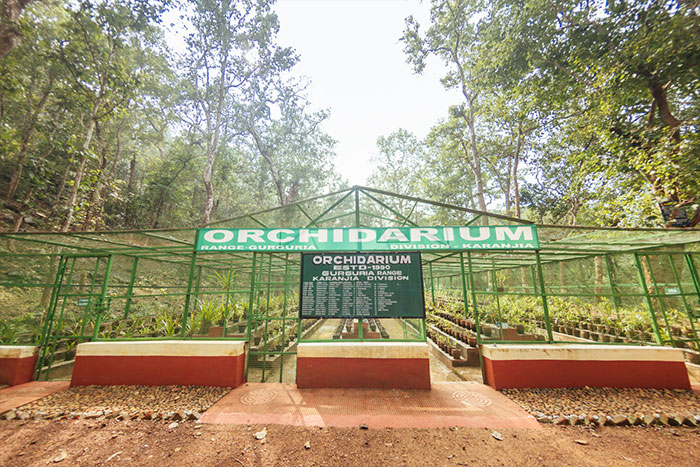 Interpretation Centers