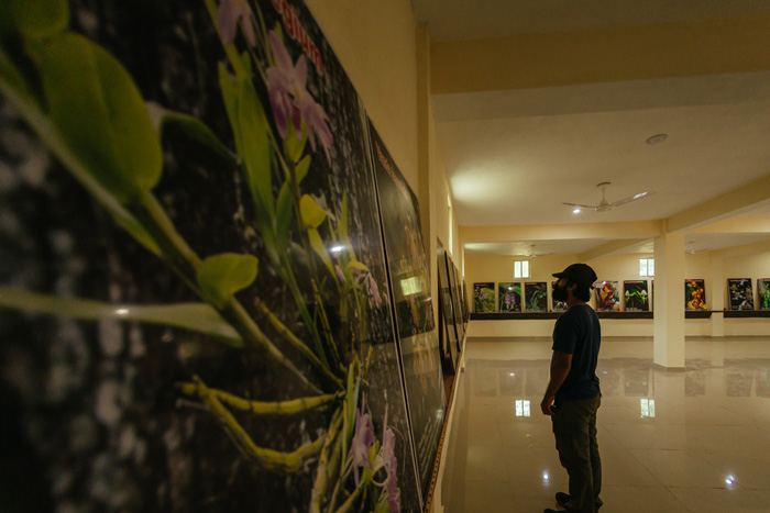 Gurguria Nature Camp