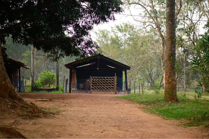 Jamuani Nature Camp