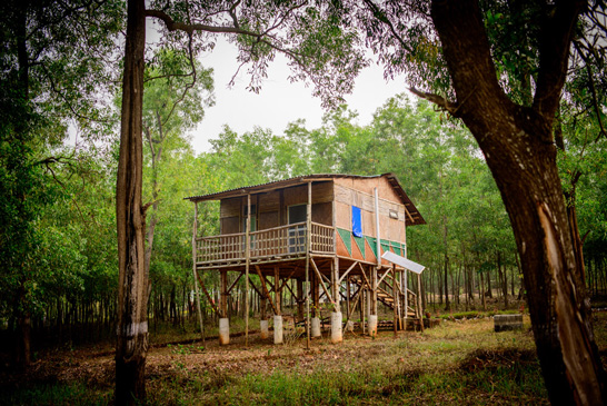 Kumari Nature Camp