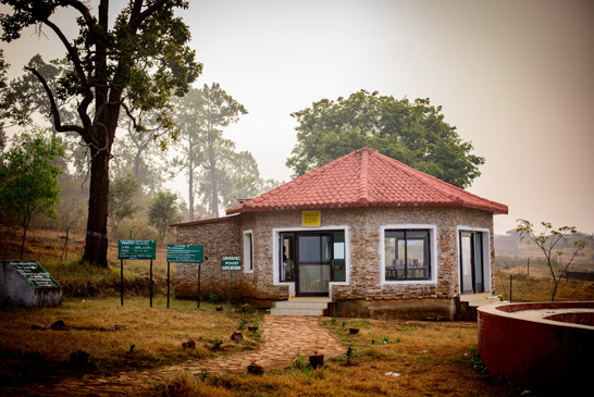Kumari Nature Camp