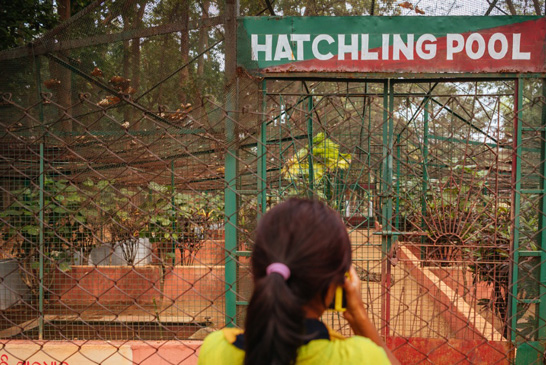 Ramatirtha Nature Camp